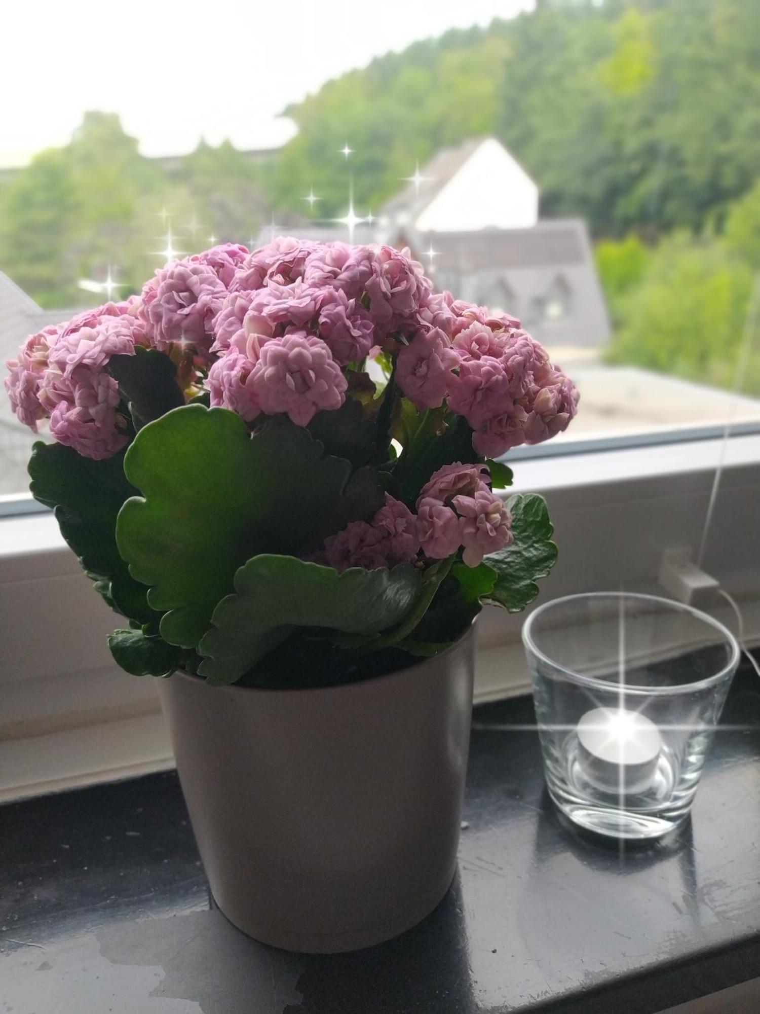Appartamento Ruhe Am Walde Meschede Esterno foto